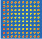 SuperChip?芯片片基